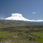 Ararat