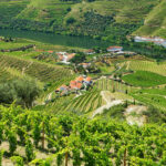 Bitzli verliebt ins Douro-Tal