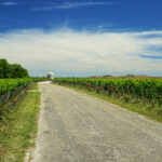 Wanderung durch die Weingüter in Pauillac