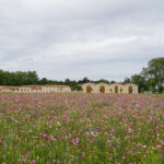 Ein weiteres Grand Cru Classé Weingut