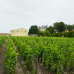 Château Mouton Rothschild