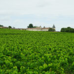 Château Lafite-Rothschild